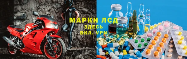 дмт Богданович