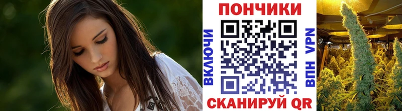 Бошки марихуана семена  МЕГА tor  Хабаровск  купить наркотики сайты 